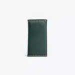 KP135 - plausive- KeyCase- KavarioonPrime - Green 2
